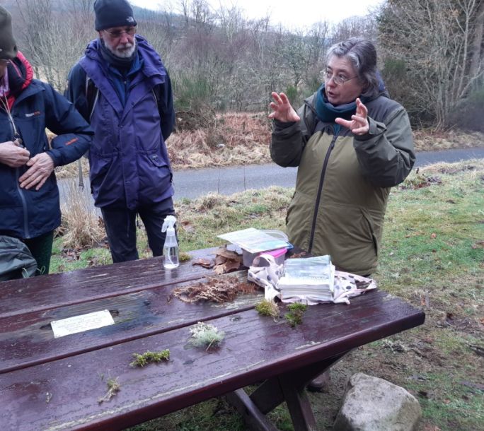 2024 02 17 Wildlife Mosses Liverworts 104426