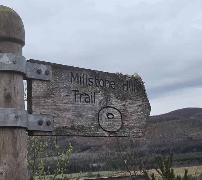 20240427 Wildlife Millstone Marker