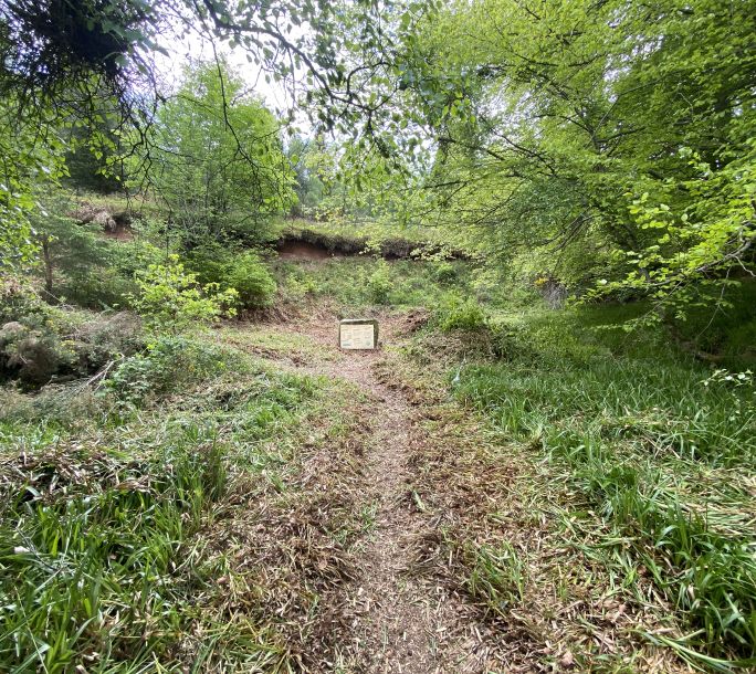 2024 05 20 Work Party Macaulayite Quarry IMG 1519
