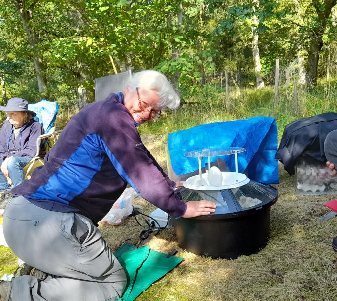 2024 08 31 Wildlife Moth Event 110129