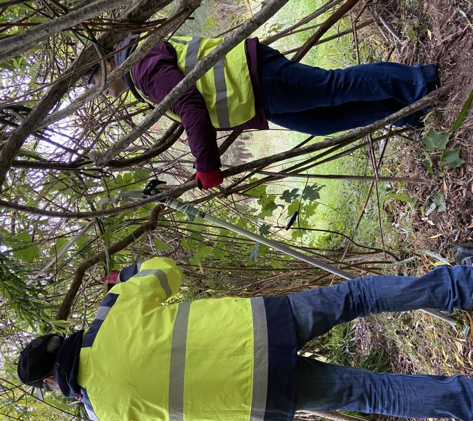 2024 09 24 Stork Work Party IMG 2352