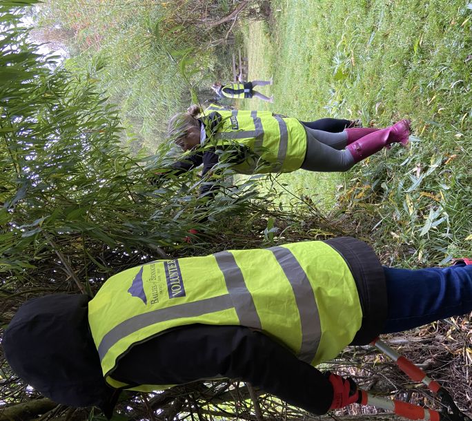 2024 09 24 Stork Work Party IMG 2353