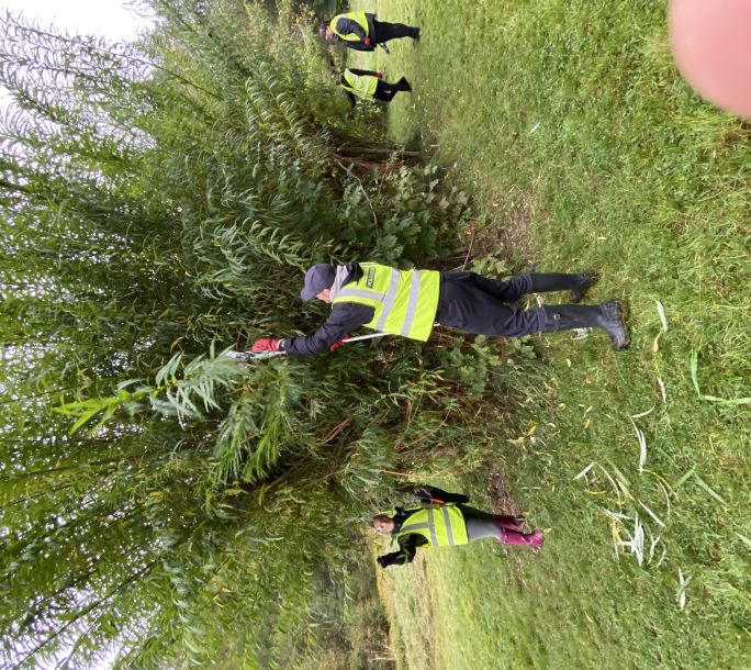 2024 09 24 Stork Work Party IMG 2351