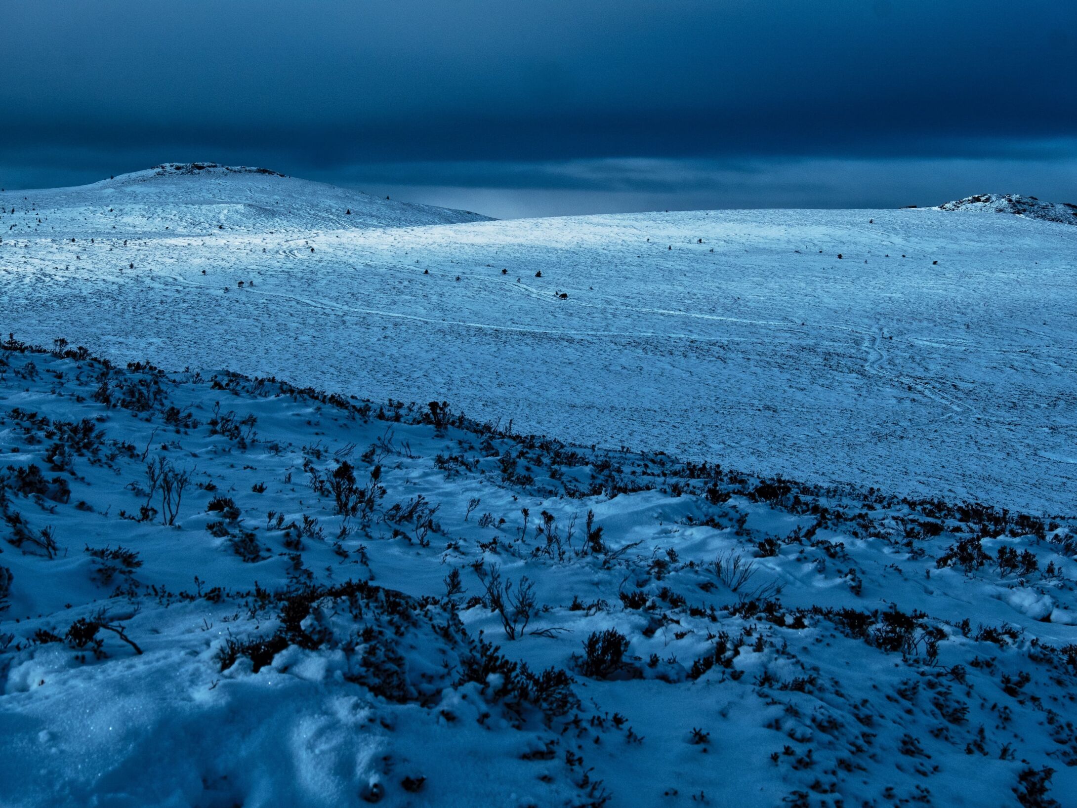 about-winter-r3