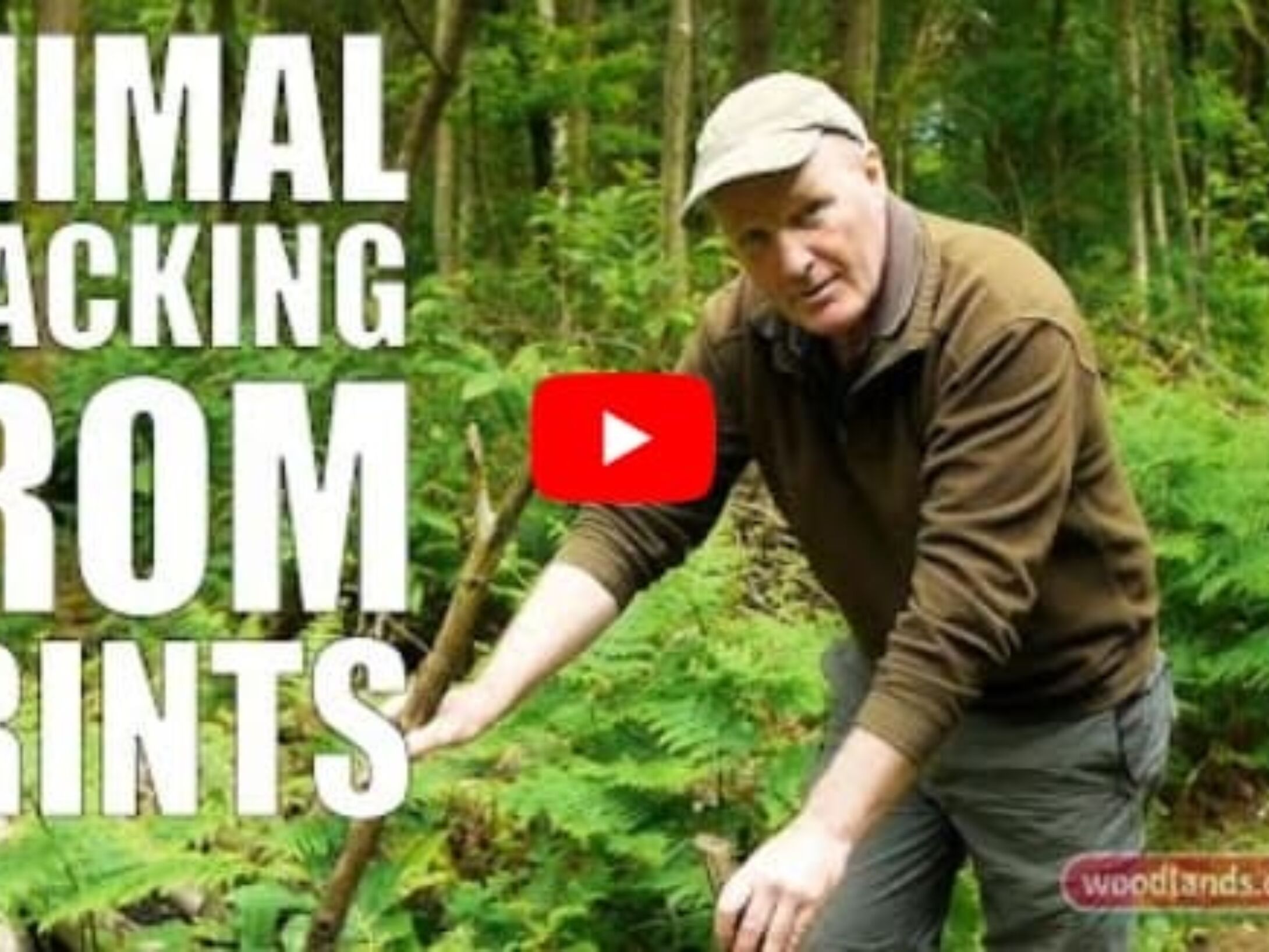 animal-tracking-from-prints-r1-bb2d8af4c2ea0ce96cea9505dd02a57e