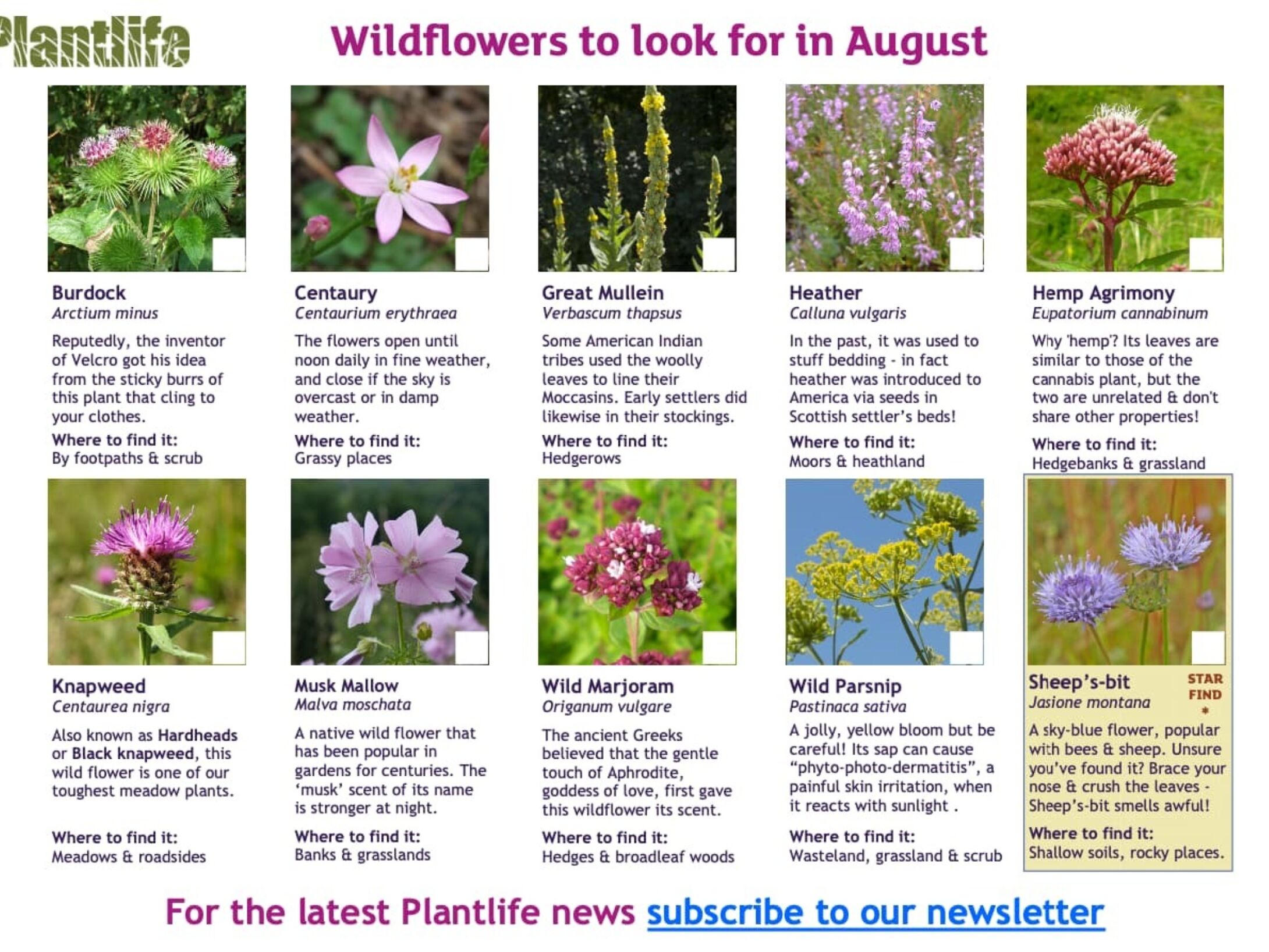 august_spotters_sheet_2015-fe487daea65fe9ce116705f28805c81e