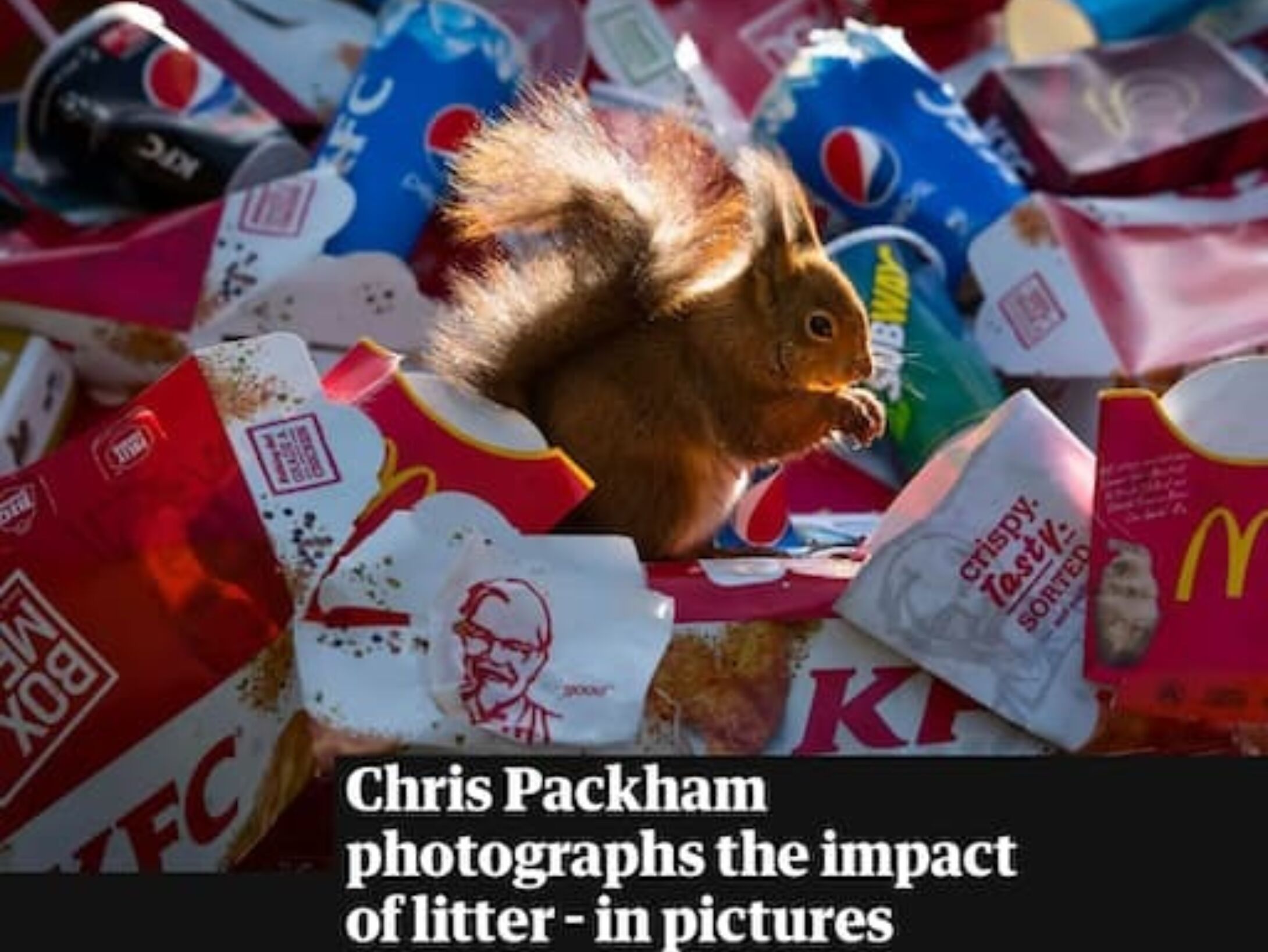 chris-packham-aside-r1-0a39974774f25854a264949217ef0f40
