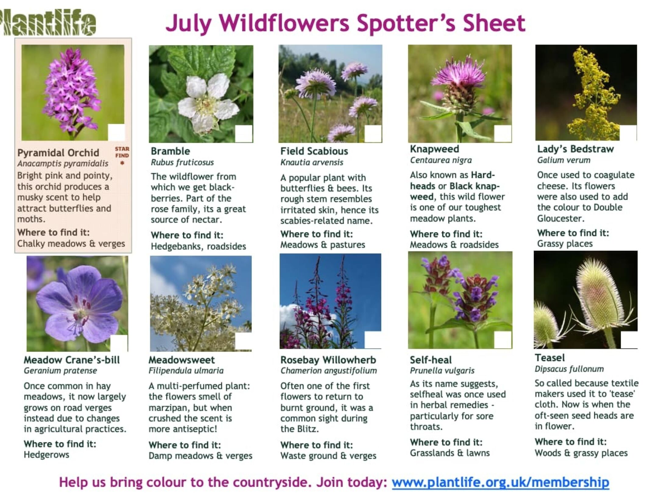 july_spotters_sheet_2015-3fe94488ff1144382e23ccecf1e98236