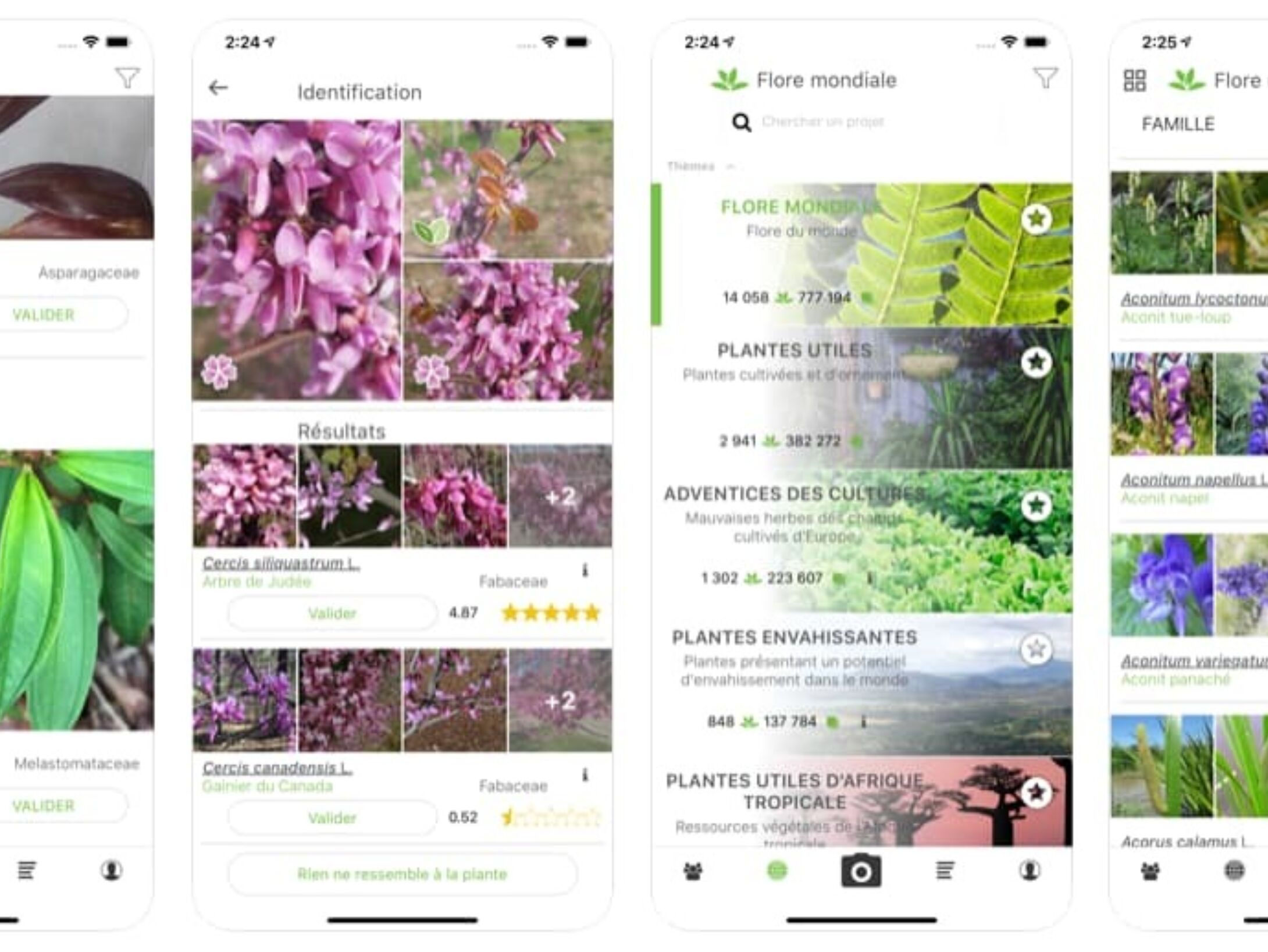 plantnet-app-r1-699e454a9cd5b101135900a973b52681