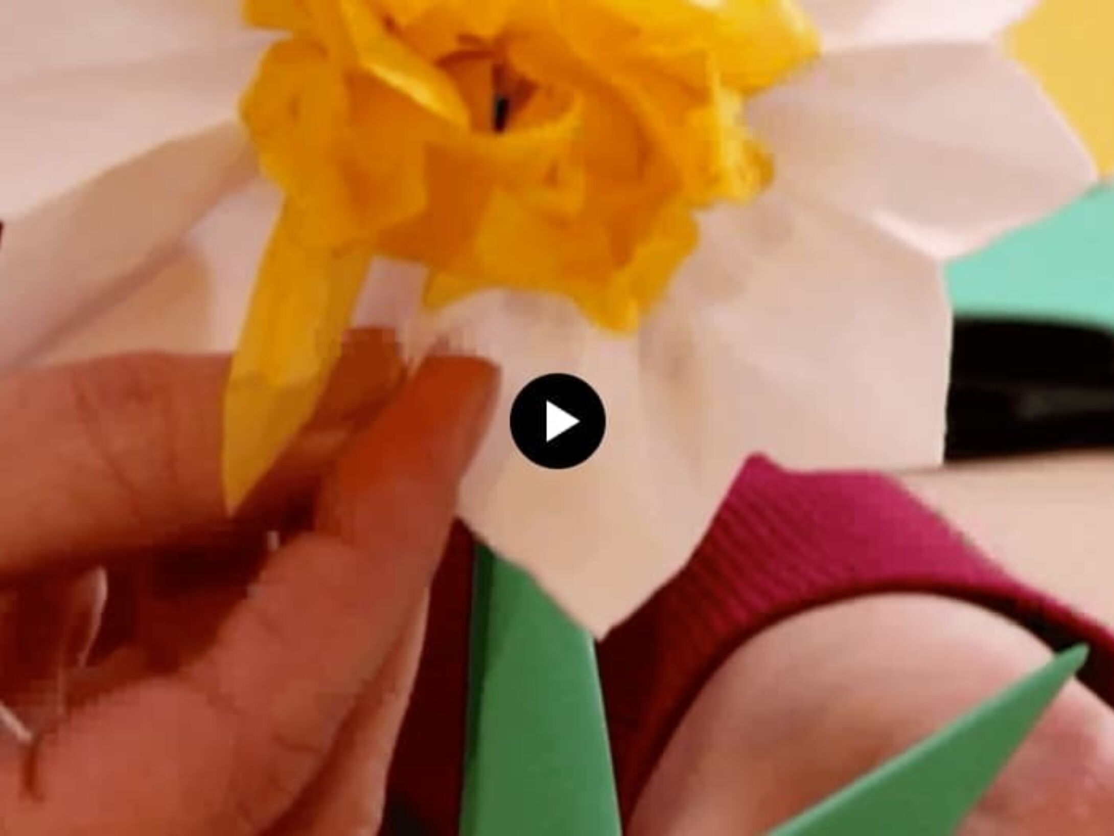 rspb-origami-daffodil-r1-680133053621f8ba53454b39a7b25a5d