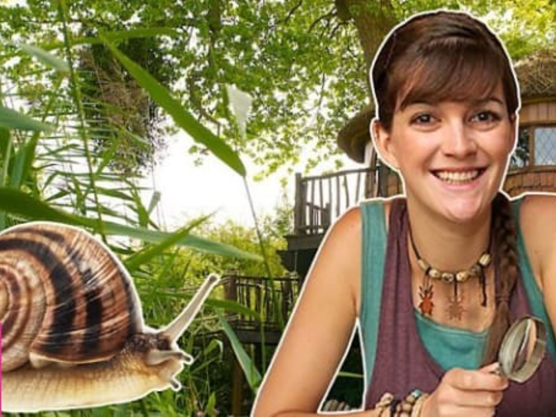 snail-adventure-r1-3bba1654e88f6ea2dbd1ff1096acdab3