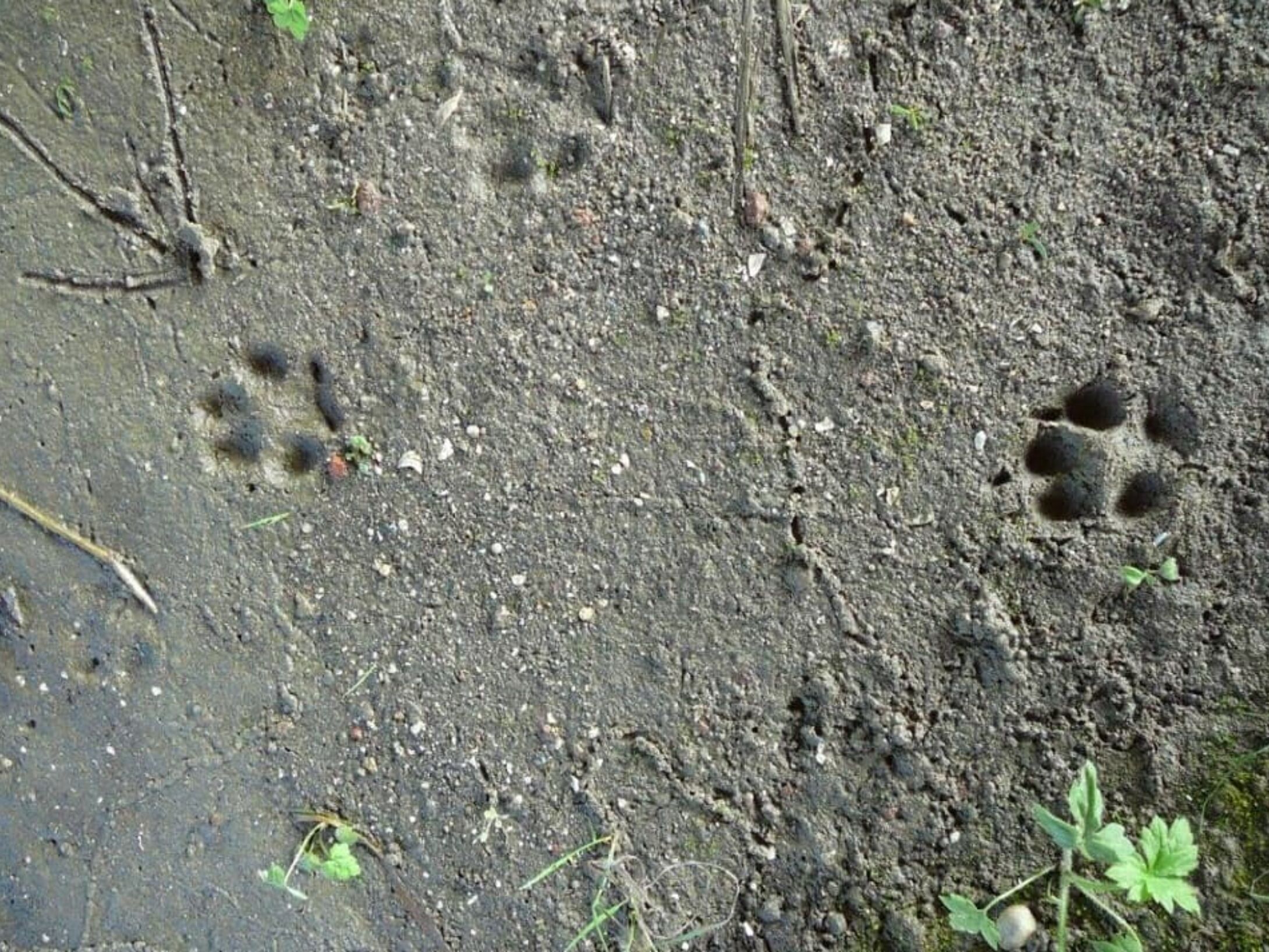 tracking-quiz-1-1-large-f2ea0593ded87cbc7d6edcd78f4a97f9