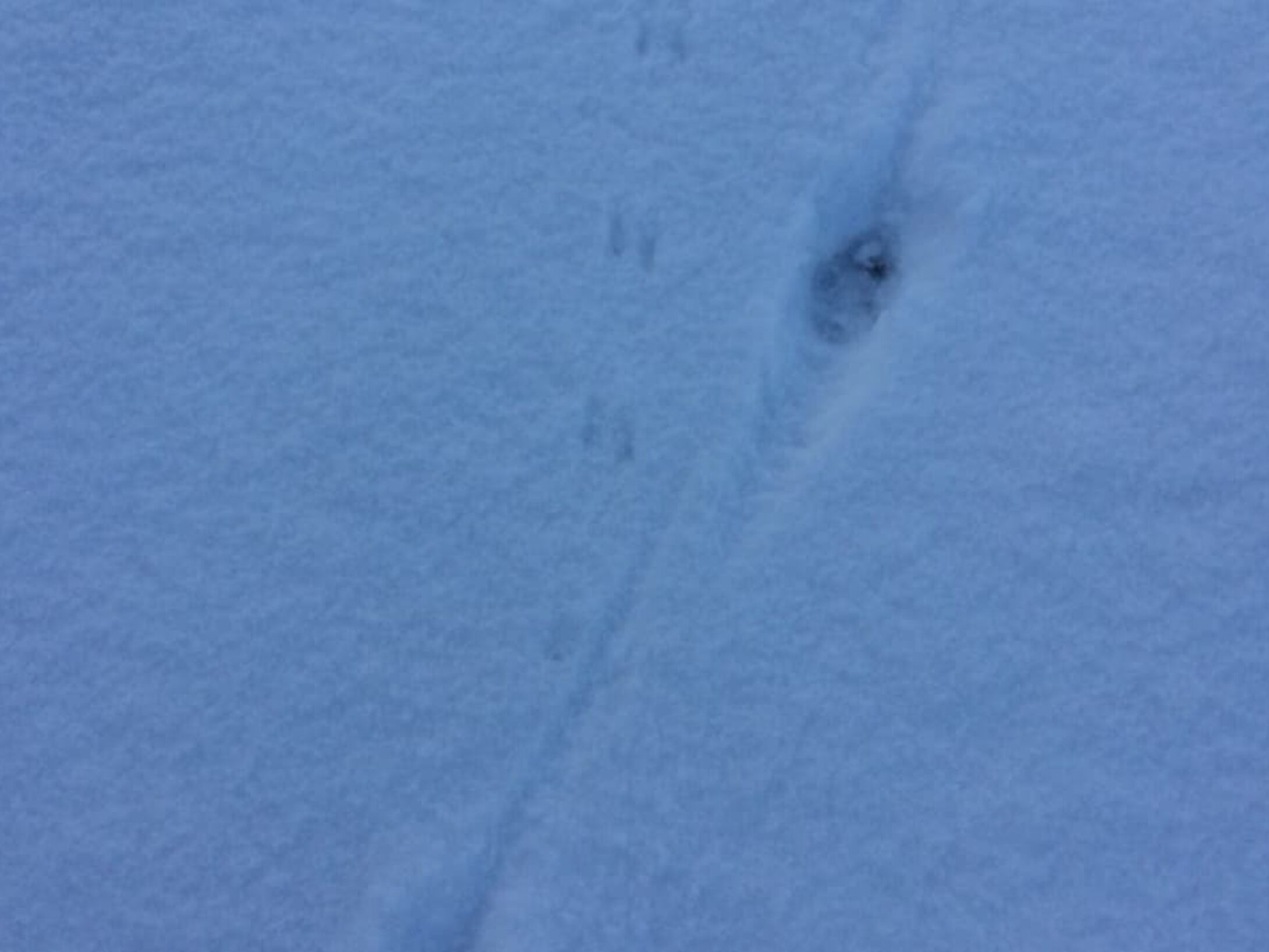 tracking-quiz-1-2-large-24ba0f436440dbe0209a551143ea0309