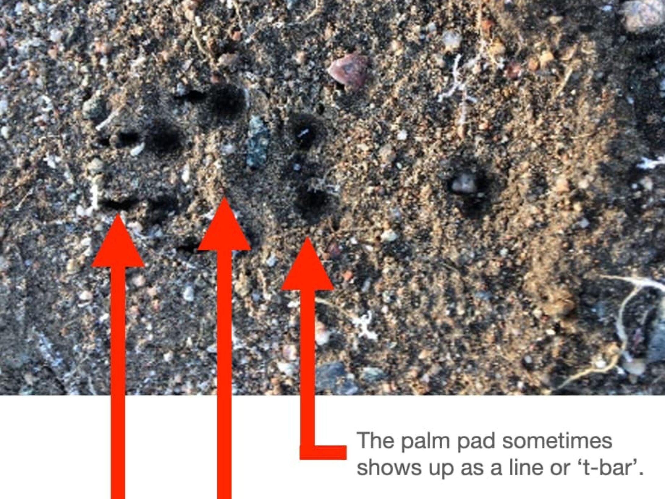 tracking-quiz-1-answer-large-r3-0540b01284371d5ba2aed3b9eedb4610