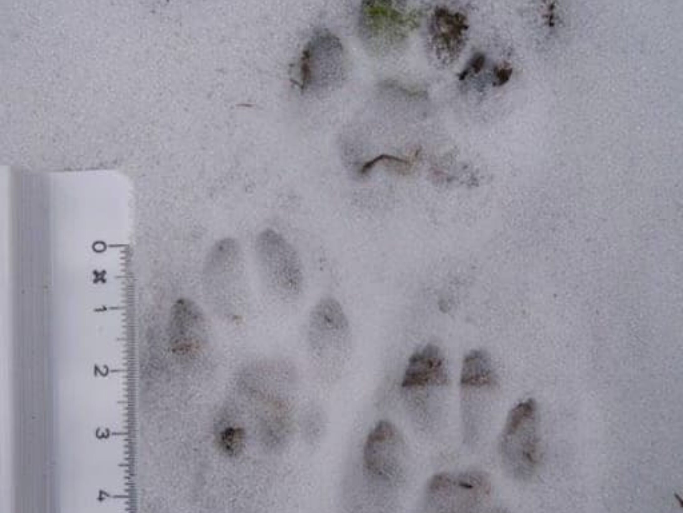 tracking-quiz-2-1-large-09ec638d22308f3f50e05d5f26fdb0b3