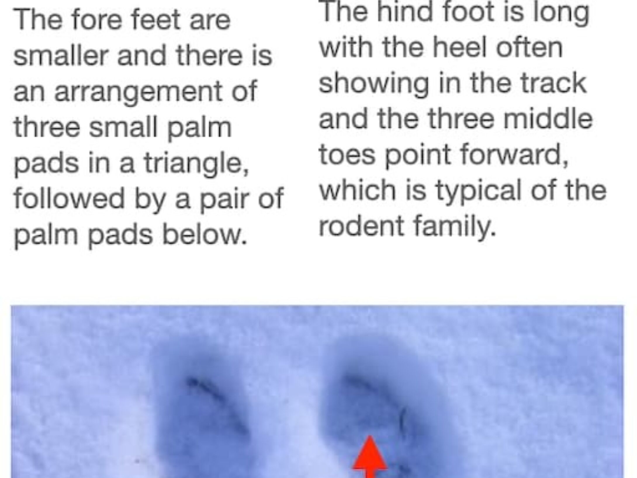 tracking-quiz-3-answer-large-r1-0c77e5de761b2ef0e7dc063b4a55fd18