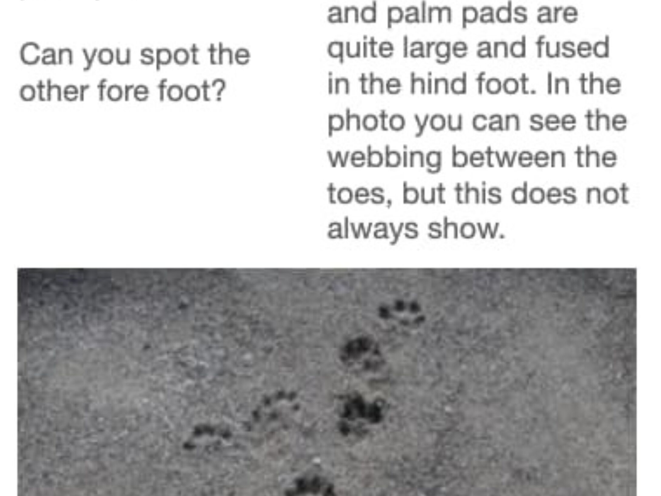 tracking-quiz-4-answer-large-r1-8e4fe9990e843df75780720e487d003f