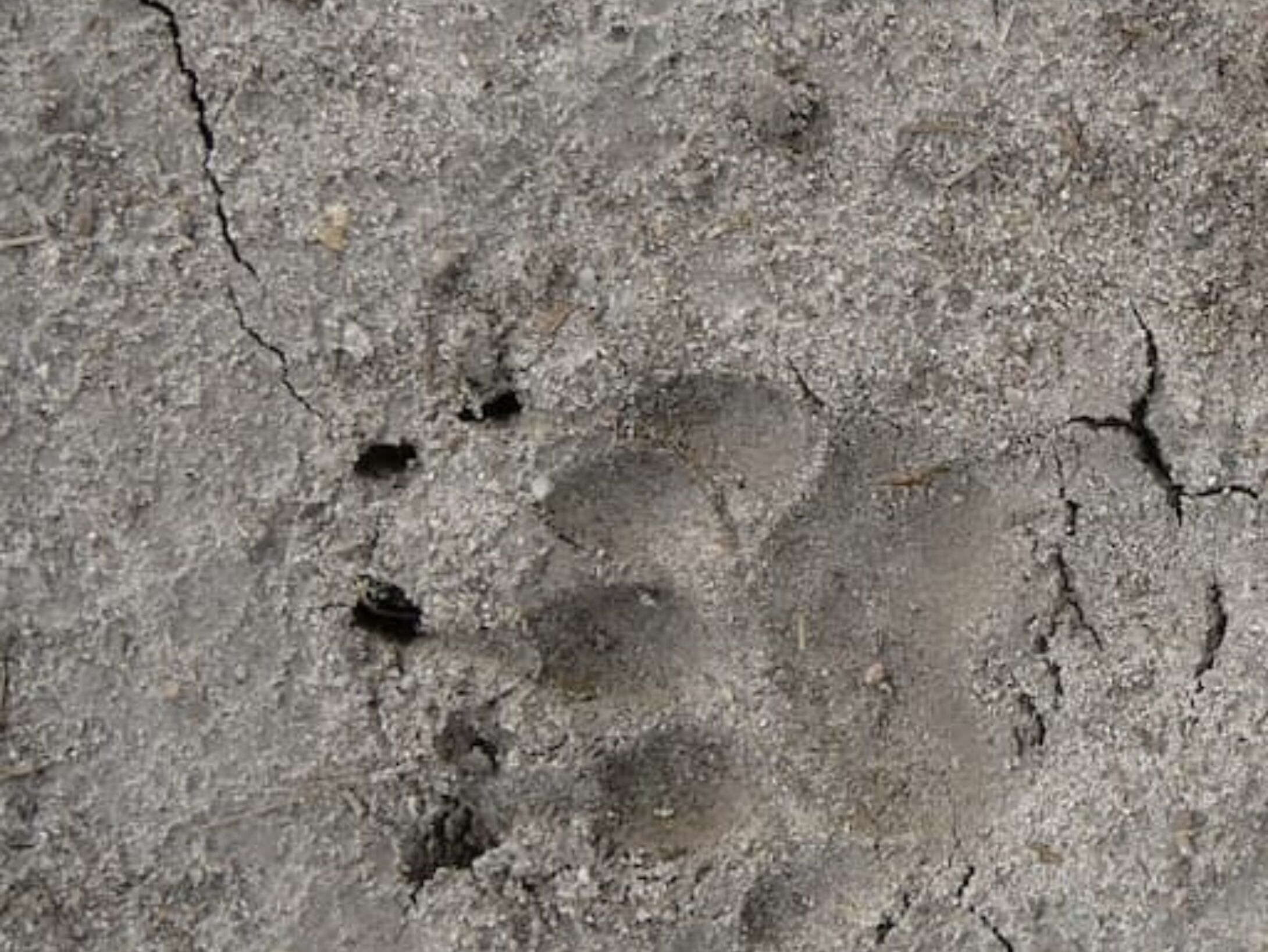 tracking-quiz-5-1-large-8423e2fb35bacdc2f4f44b2a47e3bfa1