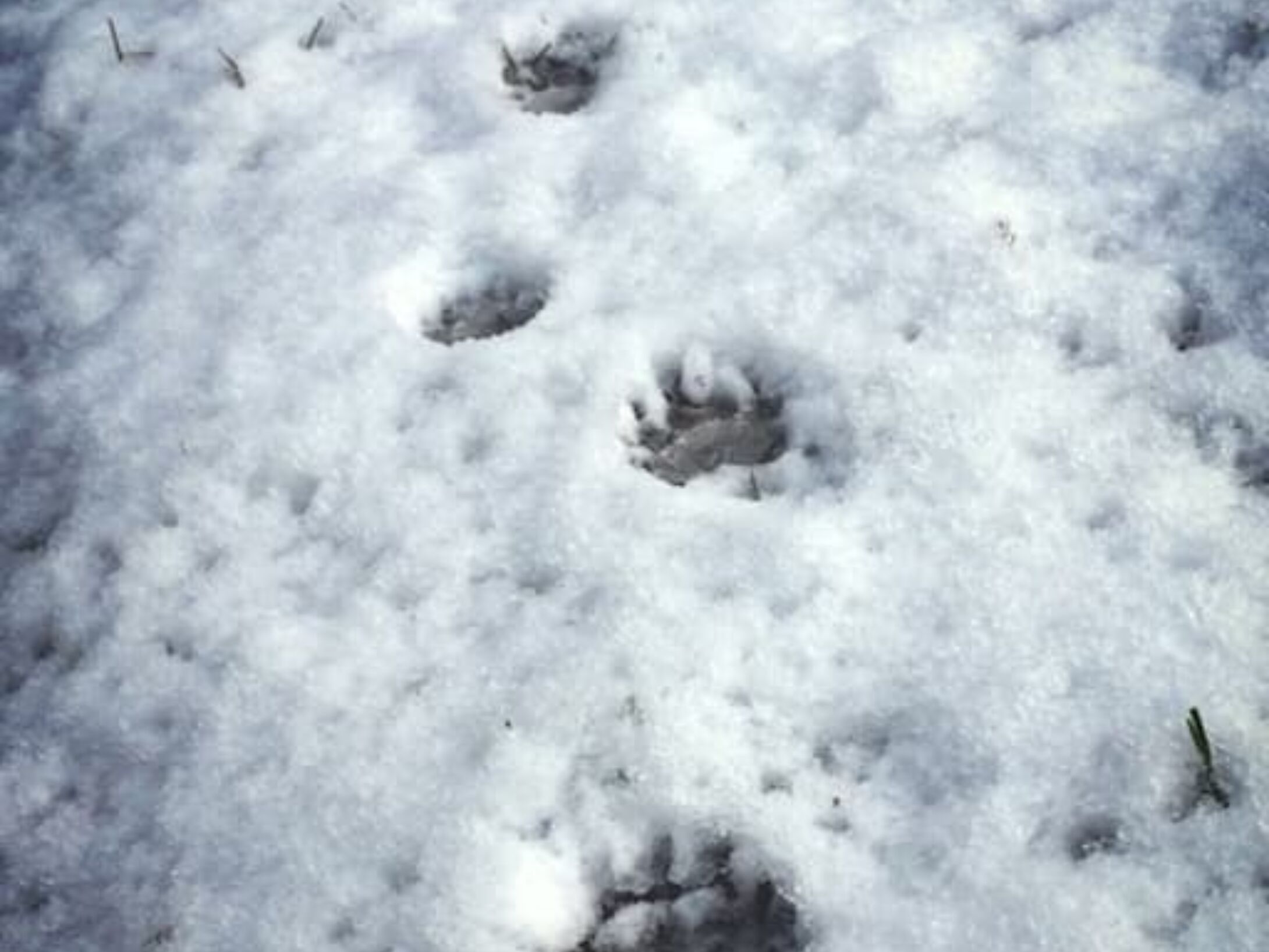 tracking-quiz-5-2-large-10a536a7771b0a04a203e36e71f4aebb