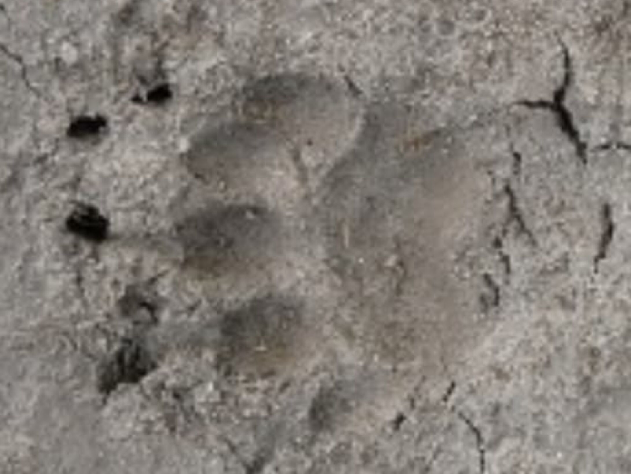 tracking-quiz-5-answer-aside-r1-13d40a8b391cbf19508bb524fd30fe09