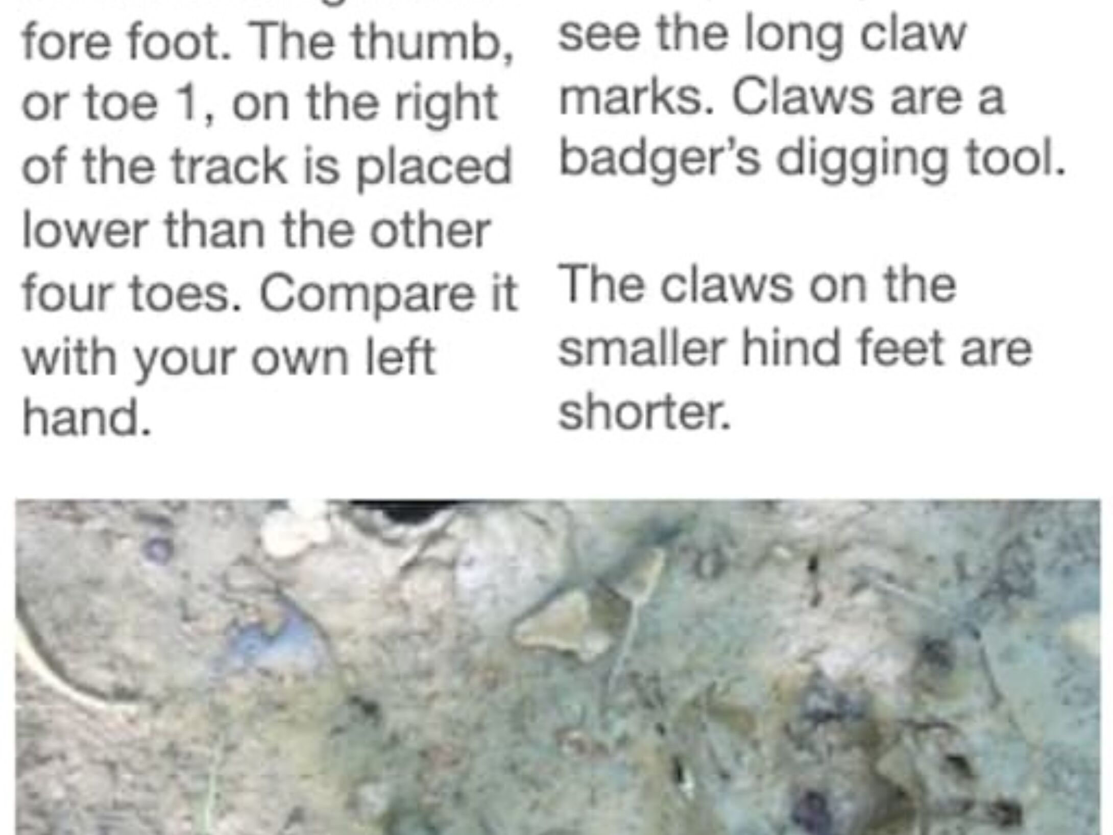 tracking-quiz-5-answer-large-r3-f75638f46614281fce32112c9ddc4108