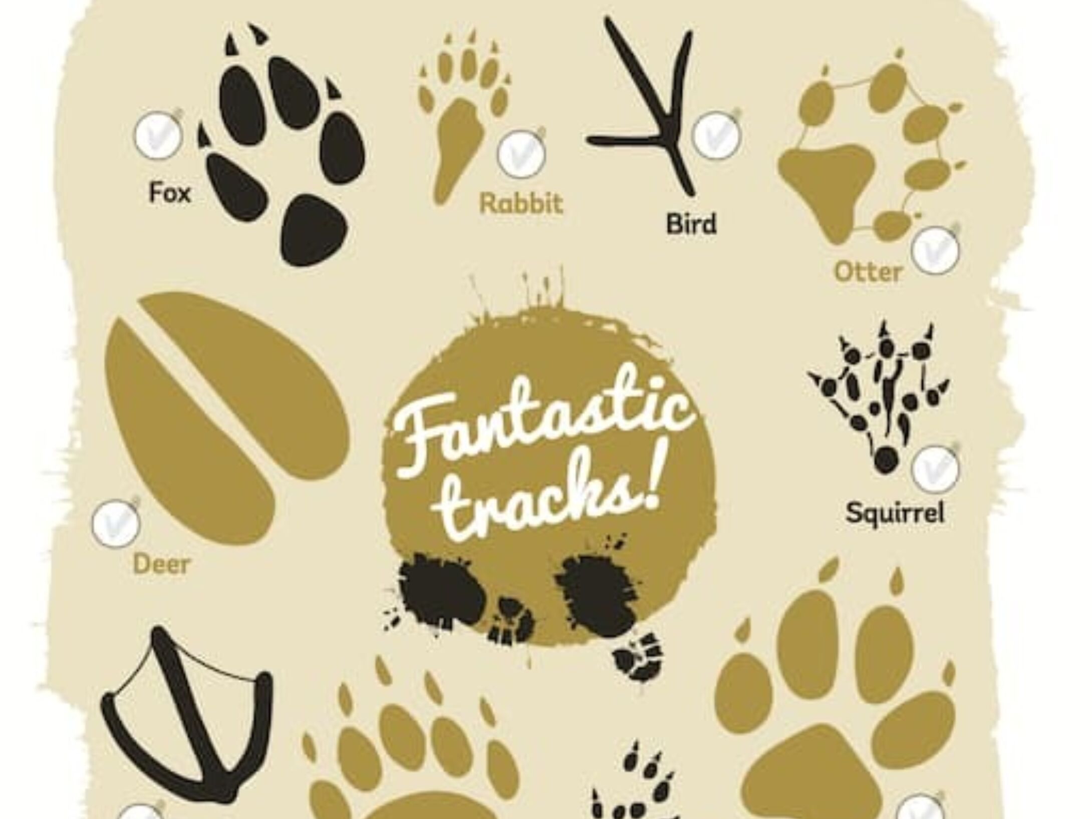 tracking-worksheet-r1-dcb02d0a9a826c77a797d8f58044c1c0