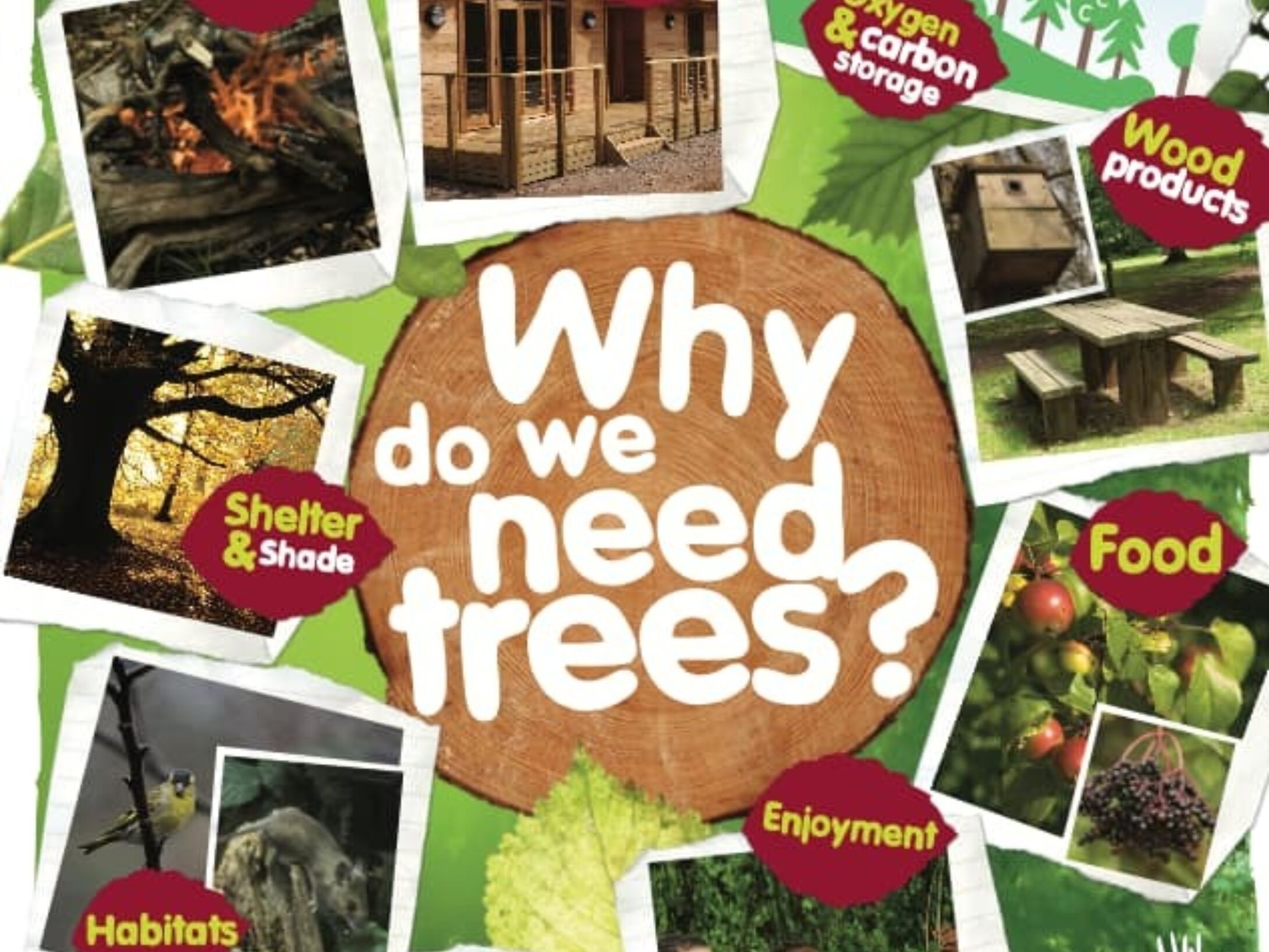 why-do-we-need-trees-poster-r1-98b2ea007a3fcf7204a6c7436c4c3296