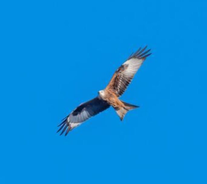 WMB7646-f4852676f54a36dc8e60e5bfe588b39d
