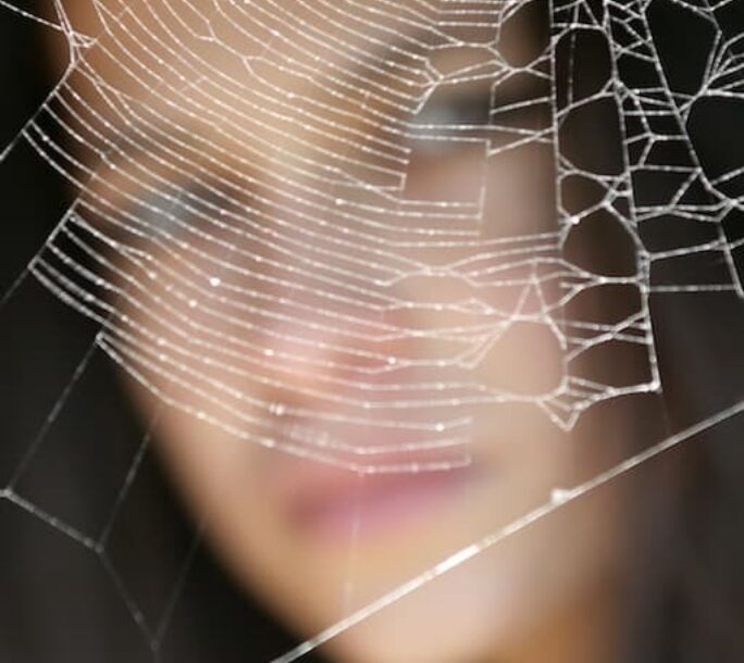 autumn-spider-webs-r1-c31b9ed91be2dcd6c7d7c8a4c3ce9099