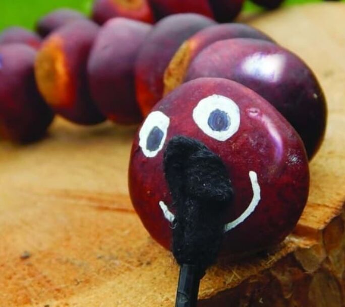 woodlandtrust-conker-worm-r1-3eb71c19ba0925023def17f5175bed82