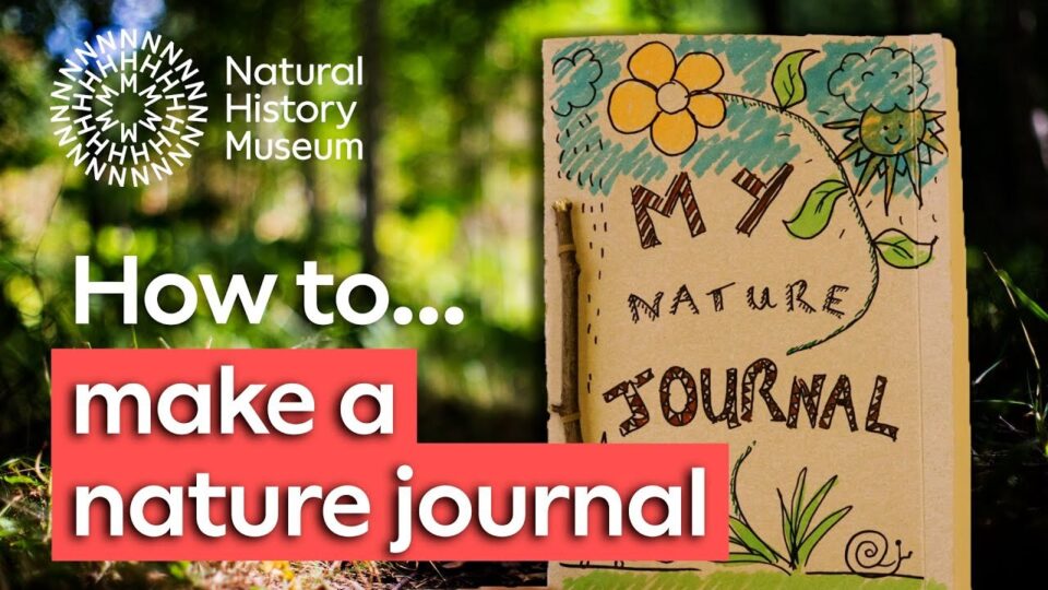 Video thumbnail: How To Make A Nature Journal