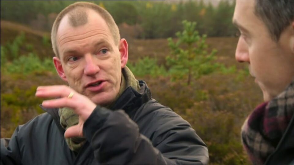 Video thumbnail: Caledonian Pine Forrest