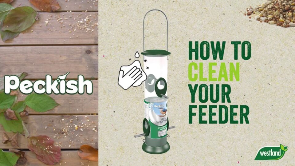 Video thumbnail: How To Clean A Bird Feeder