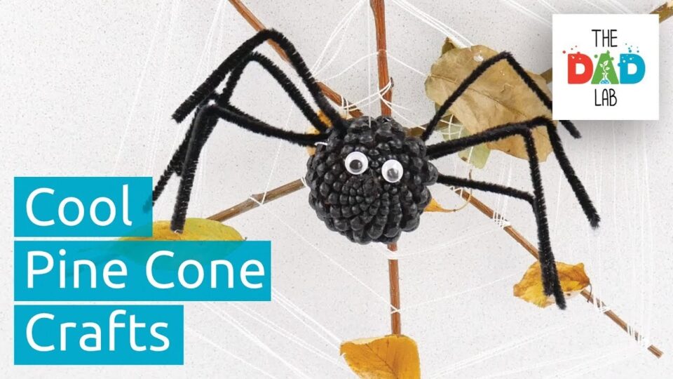 Video thumbnail: Pine Cone Crafts