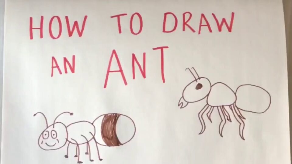Video thumbnail: How To Draw An Ant