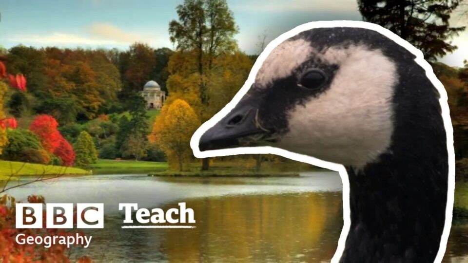 Video thumbnail: Autumn in the UK