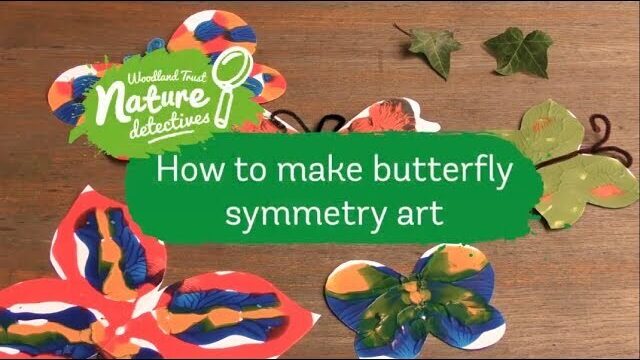 Video thumbnail: Butterfly Symmetry Art