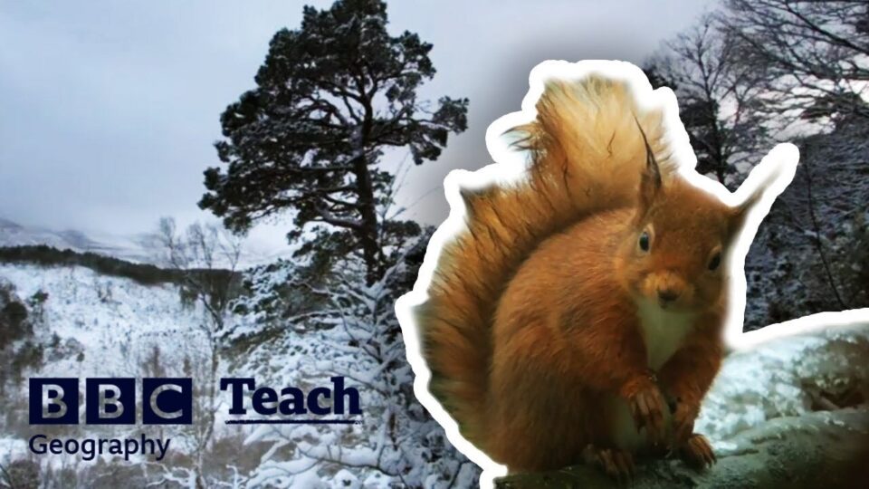 Video thumbnail: The British Winter (BBC)