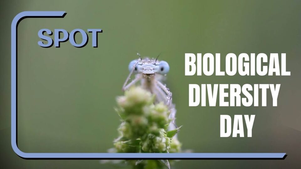 Video thumbnail: World Environment Day 2020