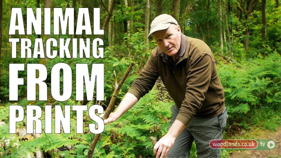 Video thumbnail: Animal Tracking from Prints