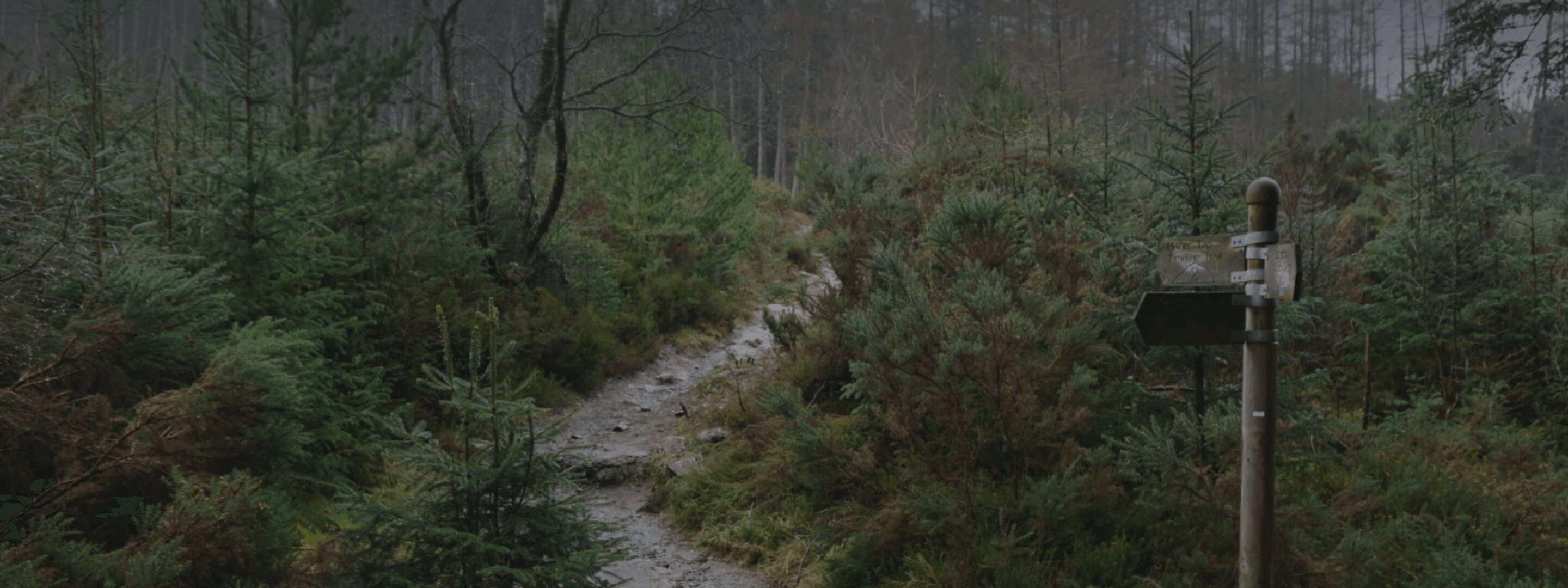 Paths