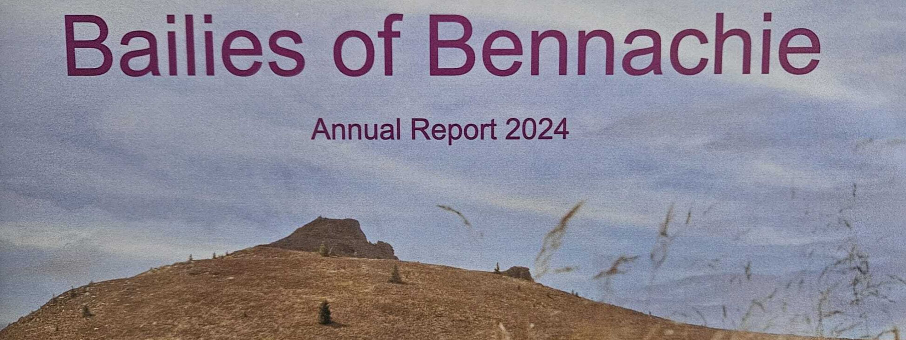 Annual Report Banner