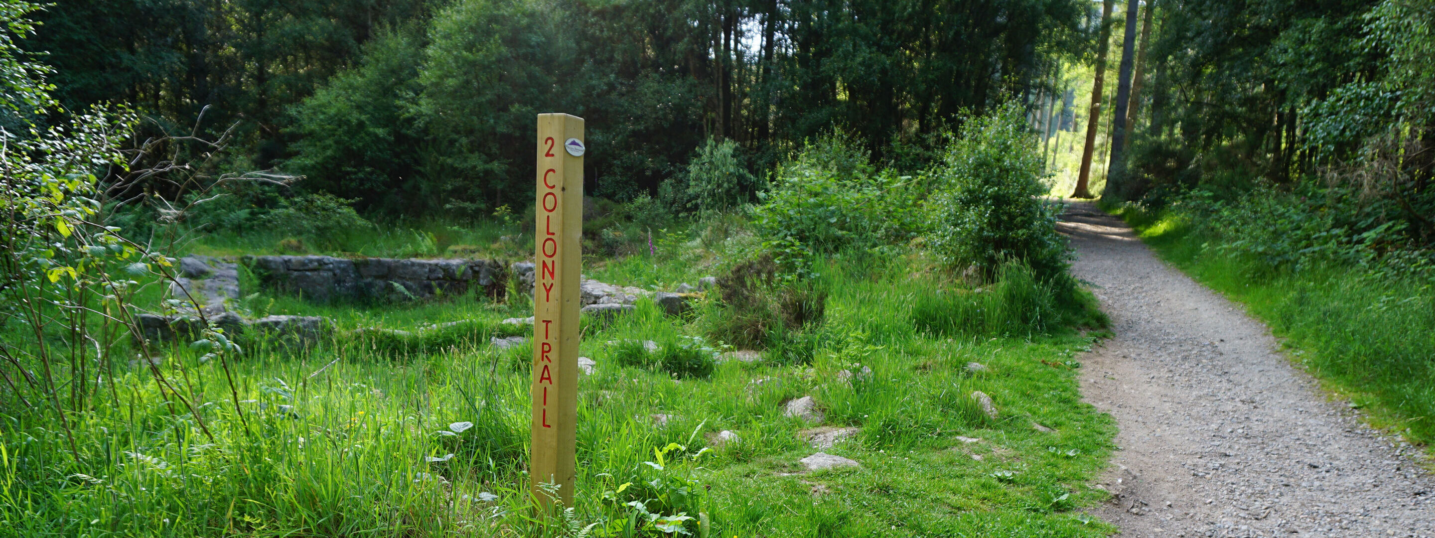 Colony trail