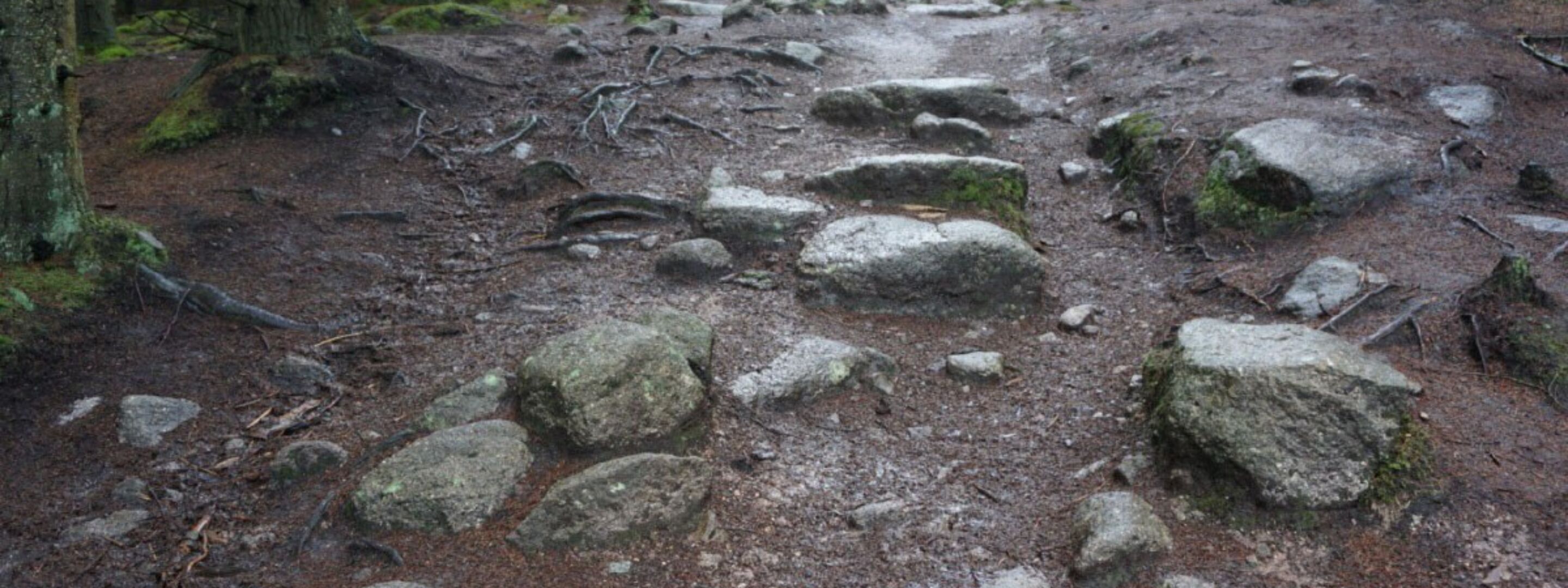 Path 2