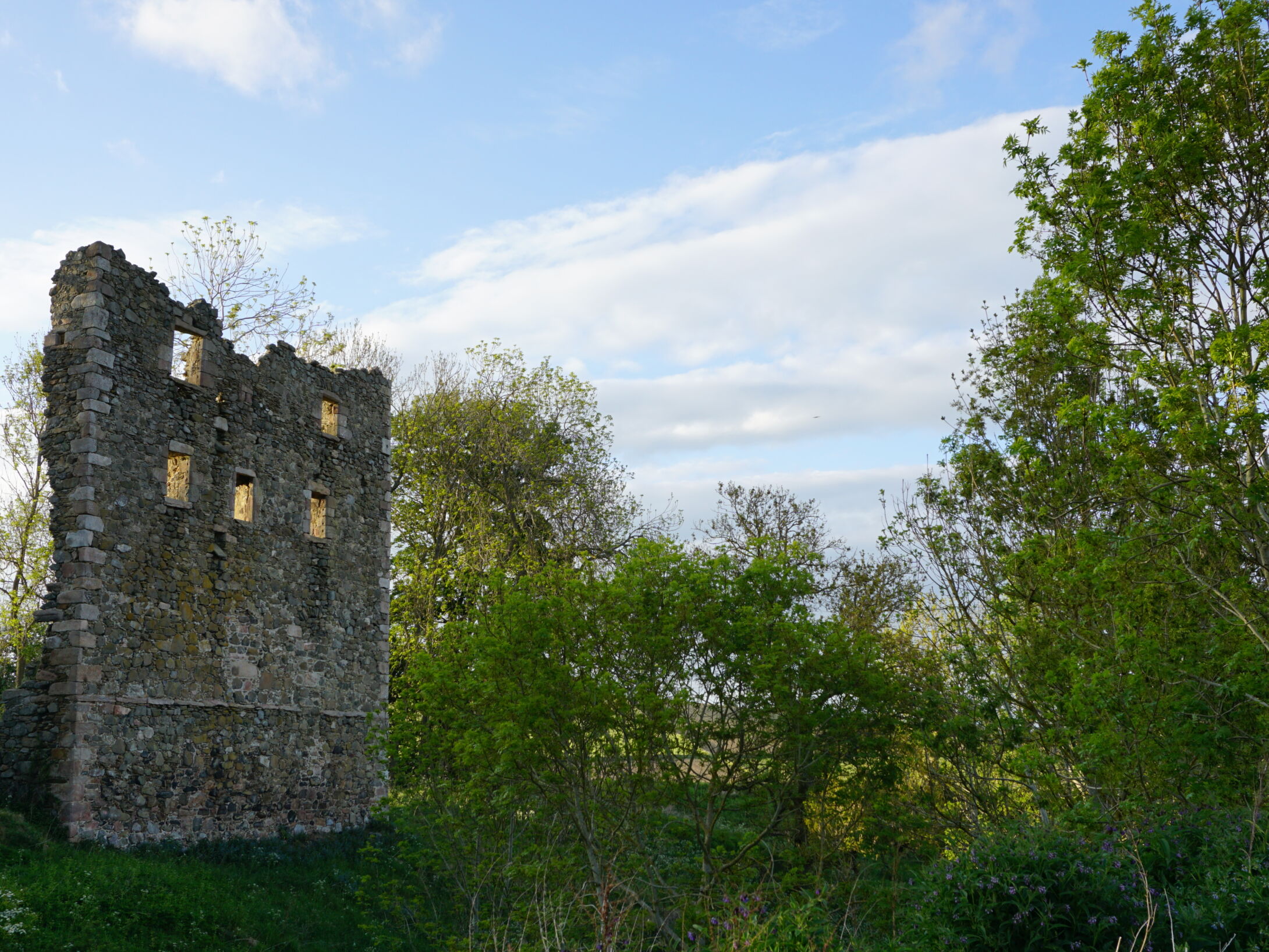 Balquhain Castle 1