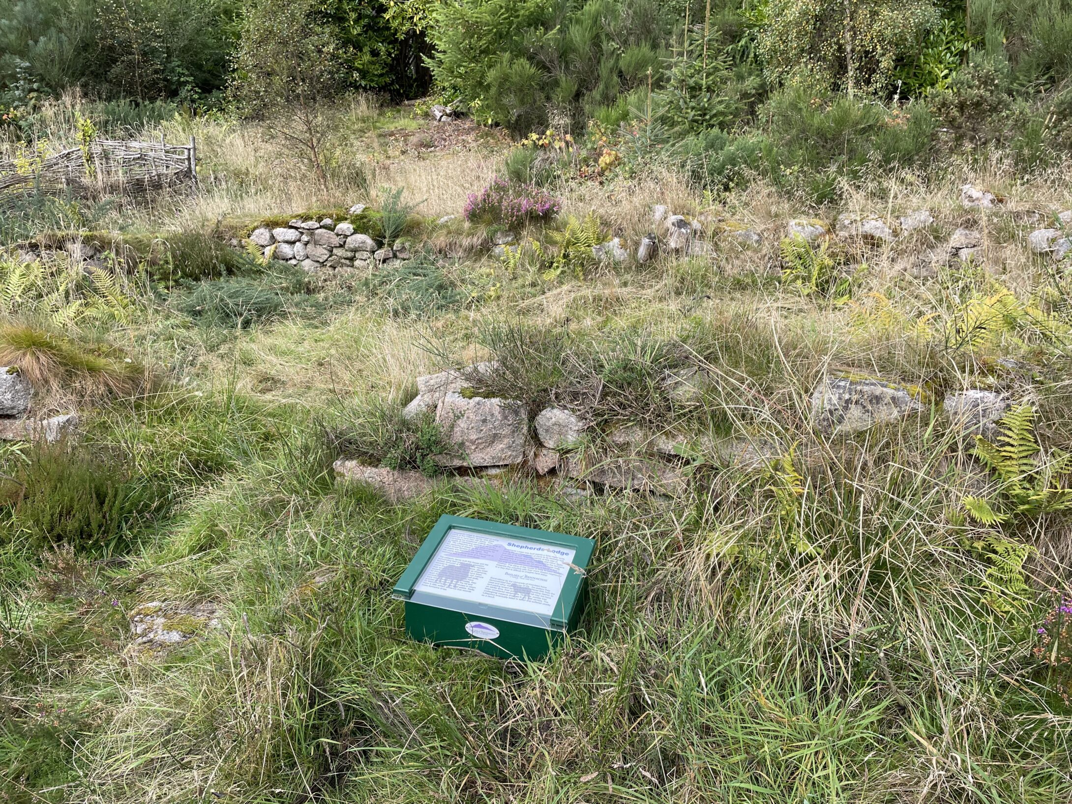 2025 01 21 Info Box Shepherds Lodge