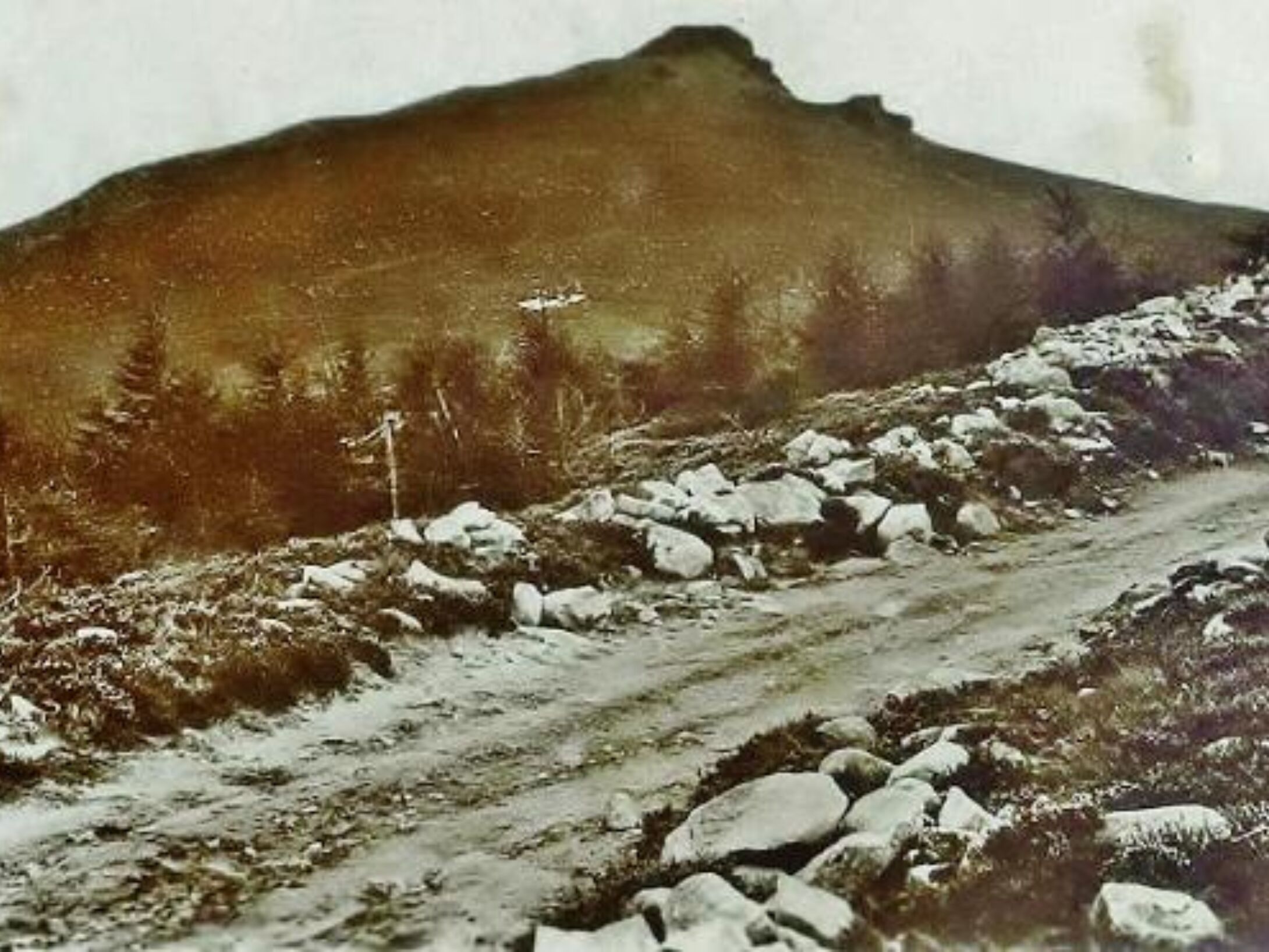 Bennachie BW
