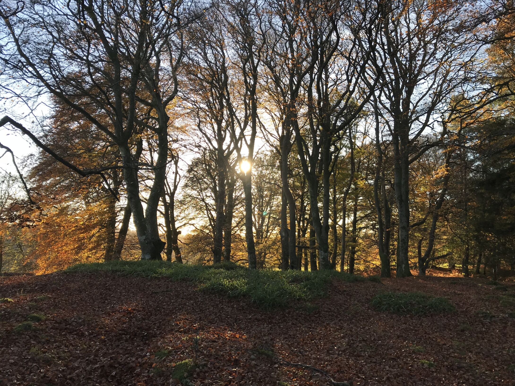 Maiden Castle1