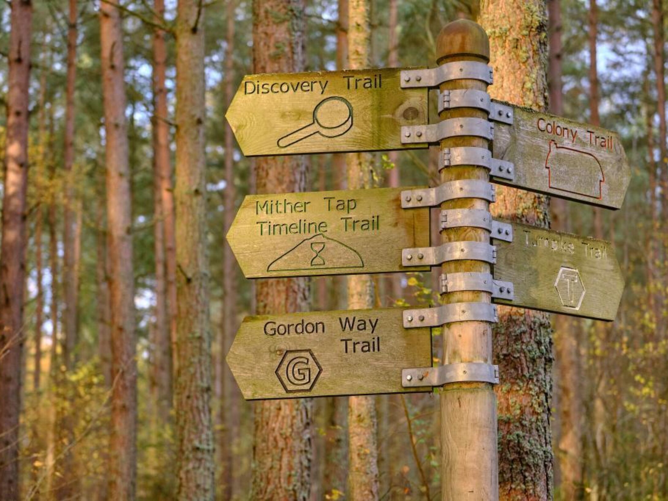 T6 Trails 2ebfad295efbf8208ddcce1a87a70d90 1024x0