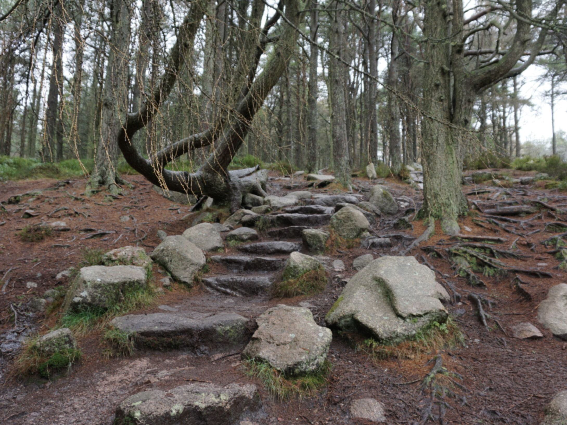 Paths gallery